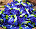 Premium Dried Blue Butterfly Pea Flower