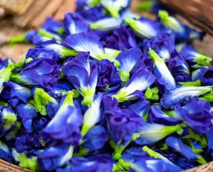 Premium Dried Blue Butterfly Pea Flower