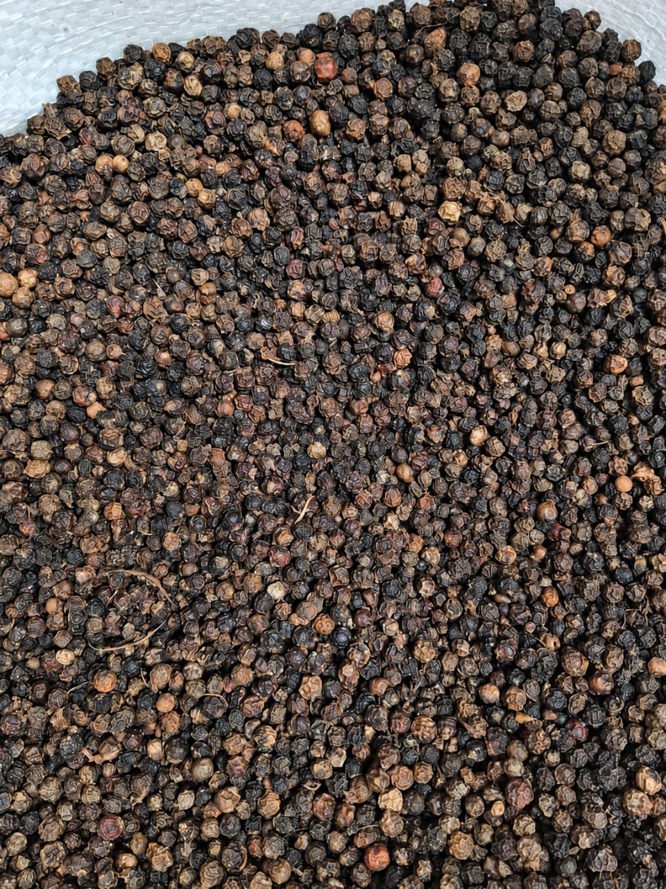 Premium Ceylon Black Pepper (Whole Peppercorns)