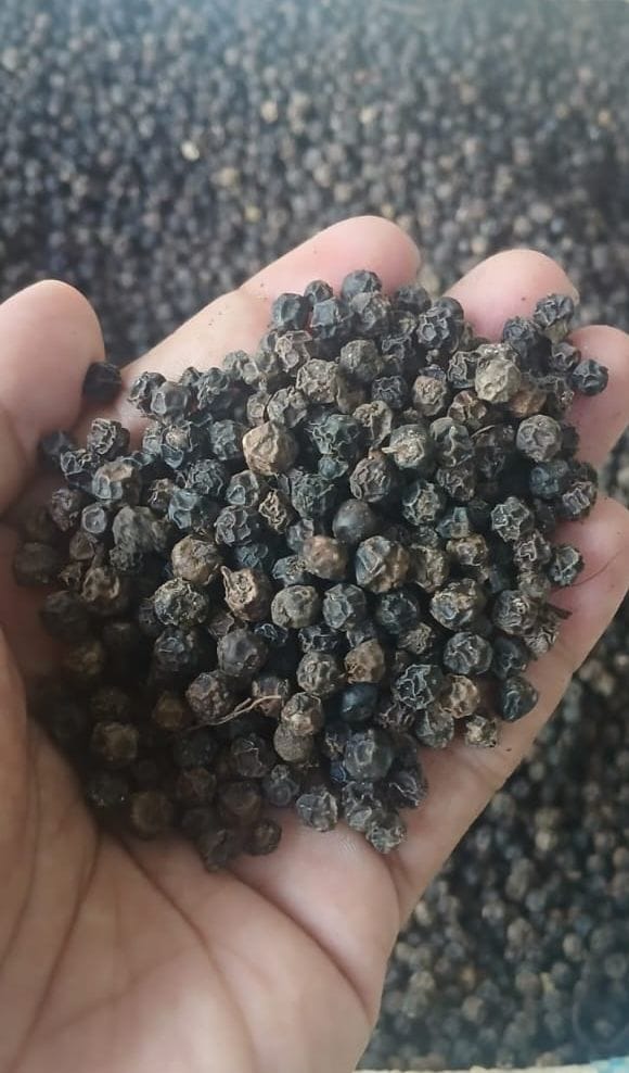 Premium Ceylon Black Pepper (Whole Peppercorns)