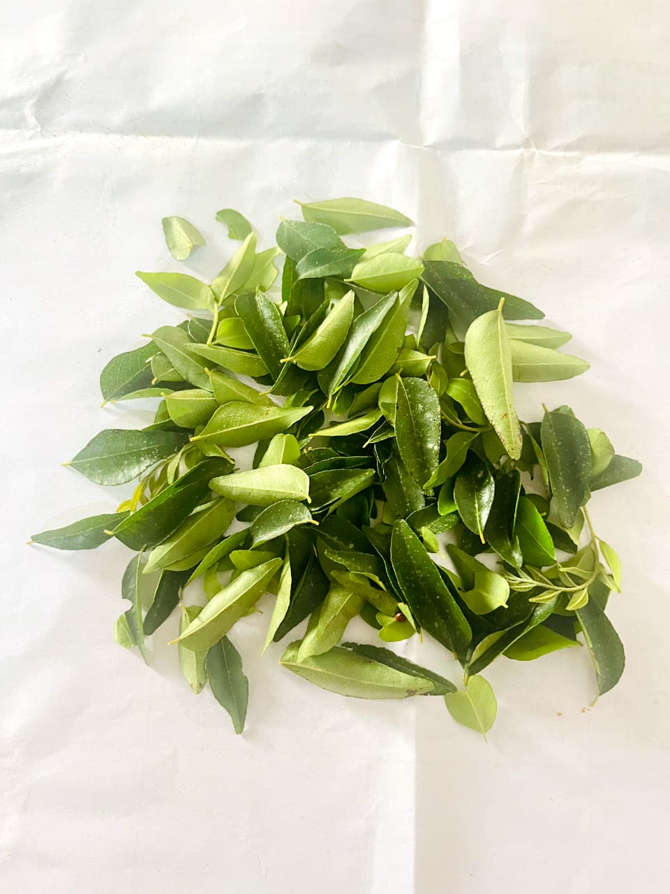 Ceylon Dried Curry Leaves | Sun-Dried & Aromatic | Quick Ceylon