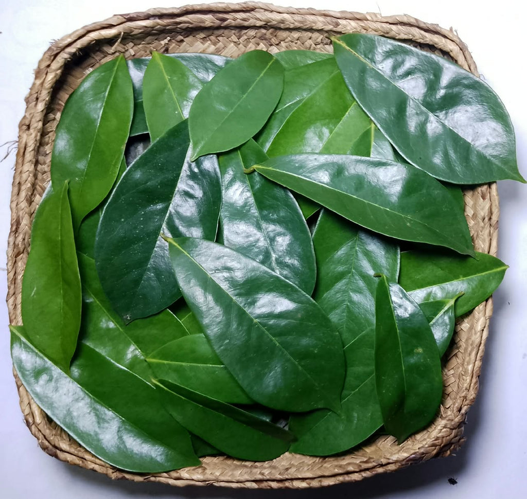 Dried Soursop Leaves